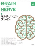 BRAIN and NERVE　Vol.73 No.3