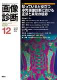 画像診断 Vol.39 No.14（2019年12月号）