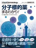 Visual Dermatology 2025年臨時増刊号