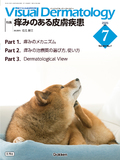 VisualDermatology Vol.24 No.7（2025年7月号）