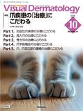 VisualDermatology Vol.24 No.10（2025年10月号）