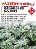 VisualDermatology Vol.24 No.12（2025年12月号）