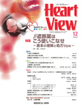 Heart View Vol.19 No.13