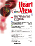 Heart View Vol.21 No.11