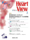 Heart View Vol.23 No.3