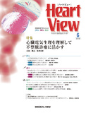 Heart View Vol.23 No.6