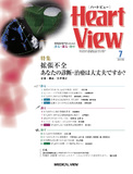 Heart View Vol.23 No.7