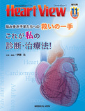 Heart View Vol.23 No.12