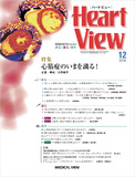 Heart View Vol.23 No.13