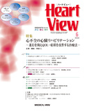 Heart View Vol.24 No.6