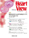 Heart View Vol.24 No.7