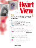 Heart View Vol.25 No.9