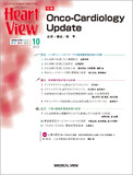 Heart View Vol.26 No.10