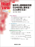 Heart View Vol.28 No.11