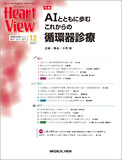 Heart View Vol.28 No.13