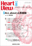 Heart View Vol.29 No.8