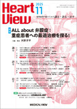 Heart View Vol.29 No.11