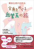 全身をめぐる血管系の旅