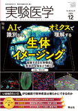 実験医学 Vol.42 No.19