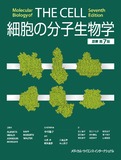 細胞の分子生物学　原書第7版