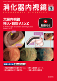 消化器内視鏡37巻3号