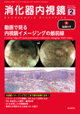 消化器内視鏡38巻2号