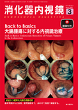 消化器内視鏡38巻3号