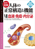 カラー図解 人体の正常構造と機能　第7巻　血液・免疫・内分泌【改訂第4版】