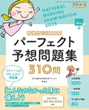 プチナース Vol.33 No.13