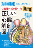 心臓外科医が描いた正しい心臓解剖図　増訂版