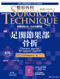 整形外科 SURGICAL TECHNIQUE（サージカルテクニック） 2023年1号