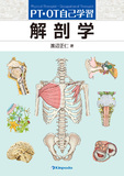 PT・OT自己学習　解剖学