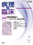 病理と臨床　2024年7月号