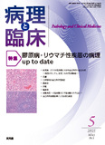 病理と臨床　2025年5月号