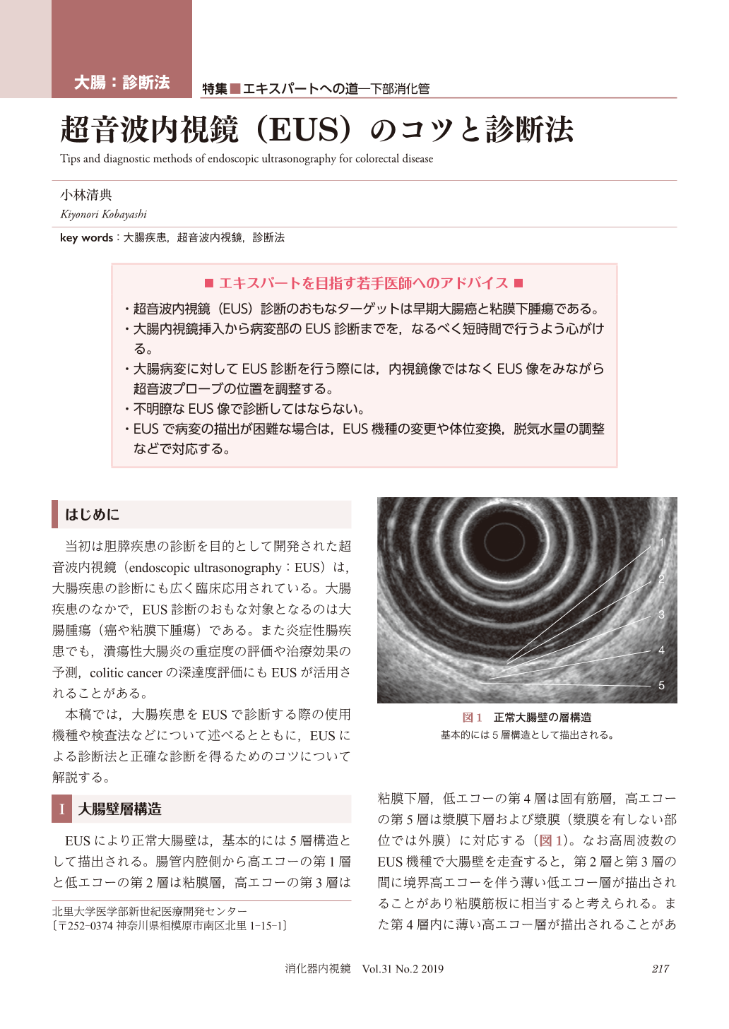 大腸 診断法 超音波内視鏡(EUS)のコツと診断法 (消化器内視鏡 31巻2号 