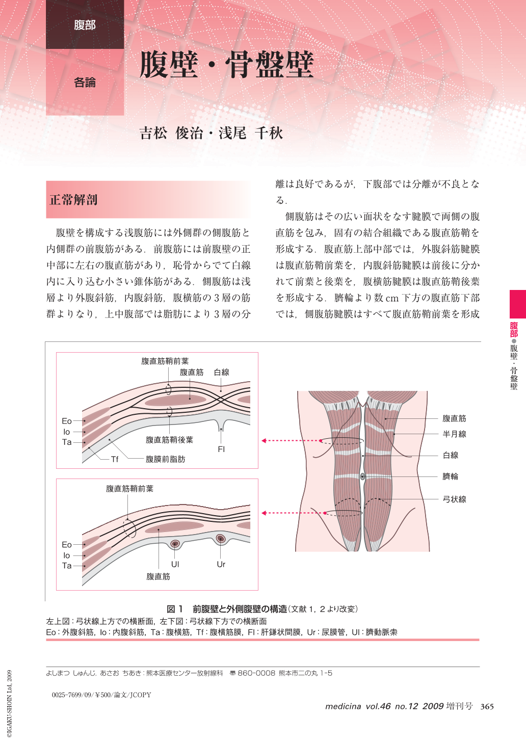 腹壁 骨盤壁 Medicina 46巻12号 医書 Jp