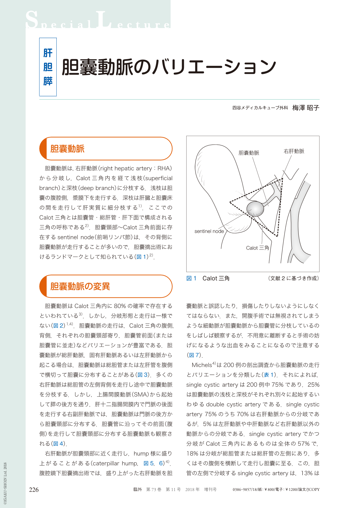 胆囊動脈のバリエーション 臨床外科 73巻11号 医書 Jp