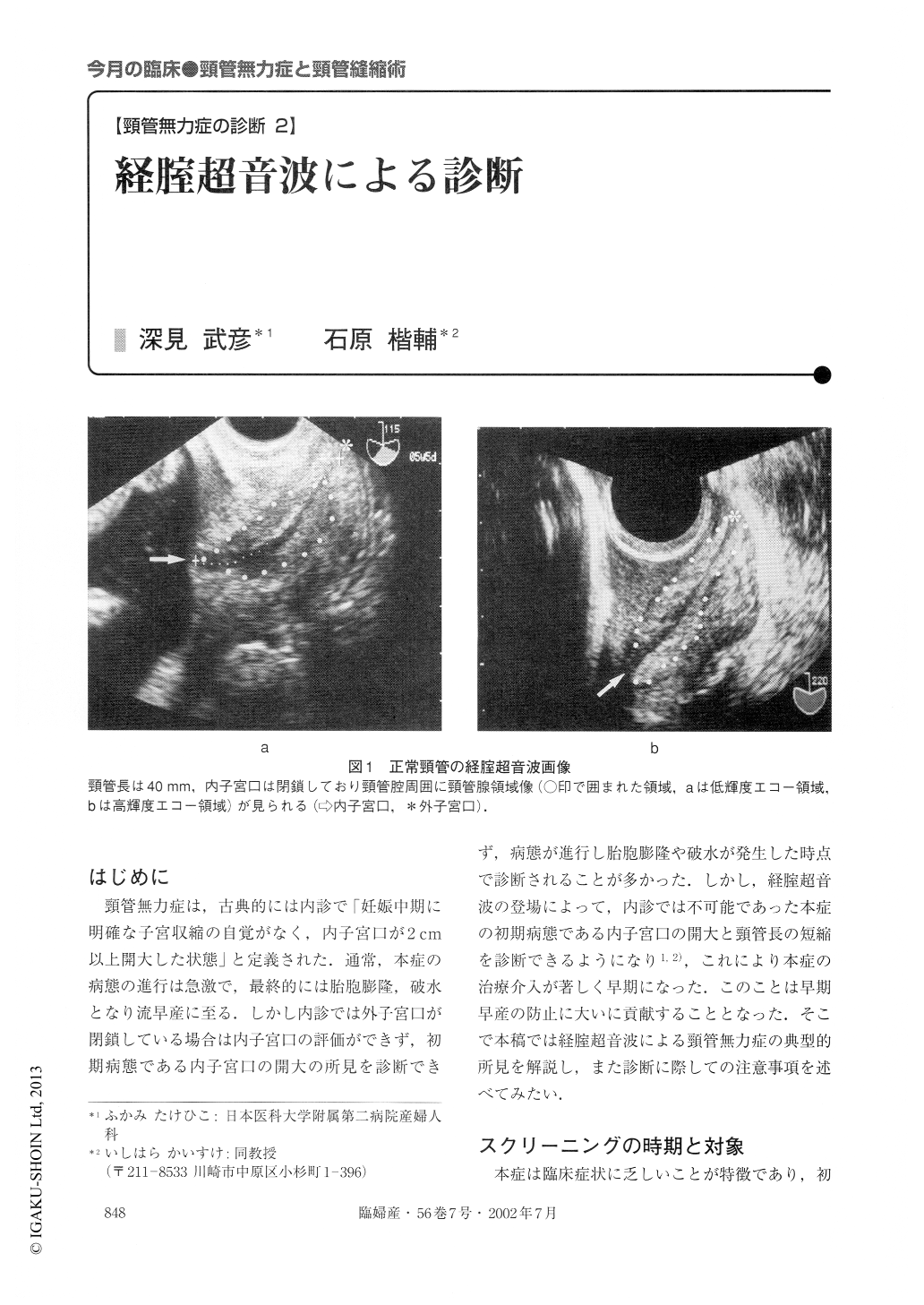 2．経腟超音波による診断 (臨床婦人科産科 56巻7号) | 医書.jp