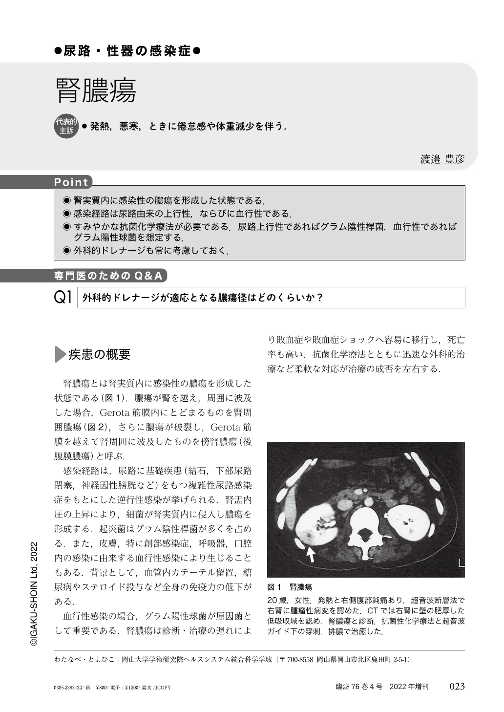 腎膿瘍 (臨床泌尿器科 76巻4号) | 医書.jp
