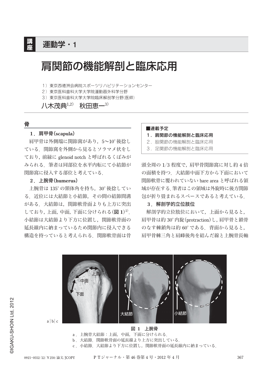 肩関節の機能解剖と臨床応用 (理学療法ジャーナル 46巻4号) | 医書.jp