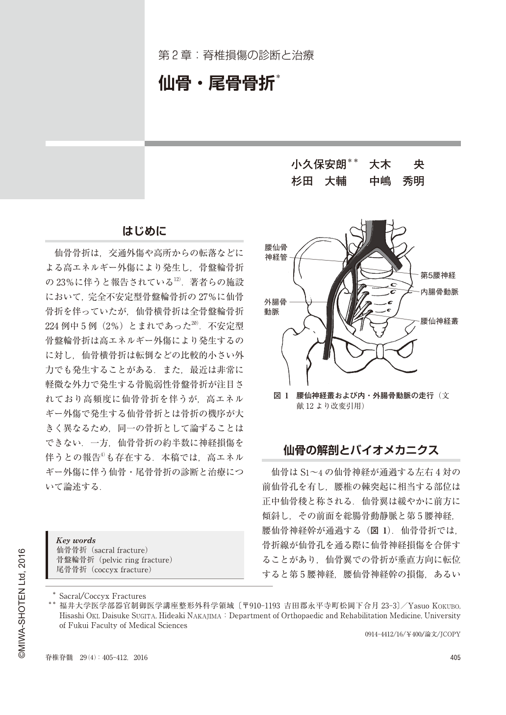 仙骨 尾骨骨折 脊椎脊髄ジャーナル 29巻4号 医書 Jp