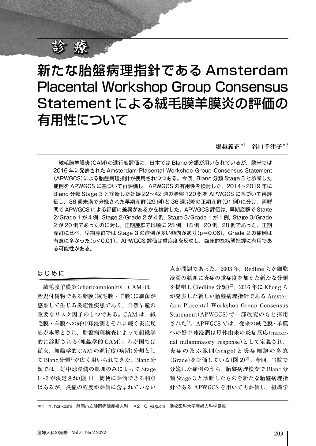 新たな胎盤病理指針であるAmsterdam Placental Workshop Group