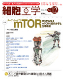 SAIBO_cover_201212.jpg