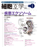 SAIBO_cover_201301.jpg