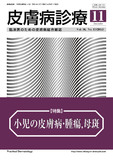 hifuksinryo36-11_cover.jpg